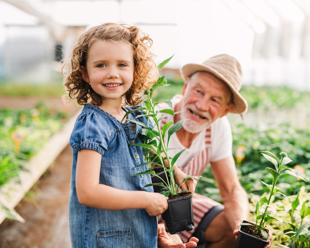 Services dentaires pour enfants à Limoges